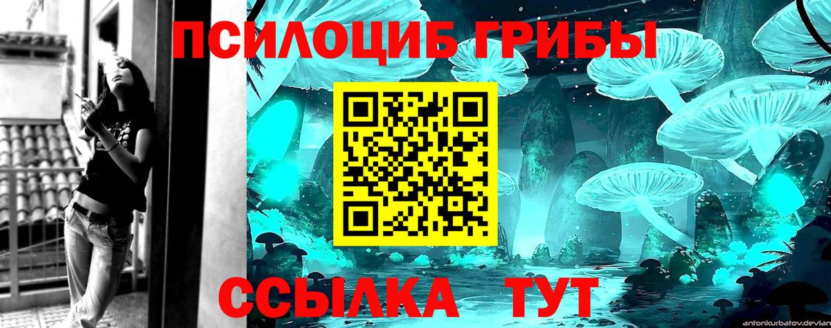 Псилоцибиновые грибы Psilocybine cubensis  Вход с VPN  Галлюциногенные грибы MAGIC MUSHROOMS  закладка  Сухой Лог 
